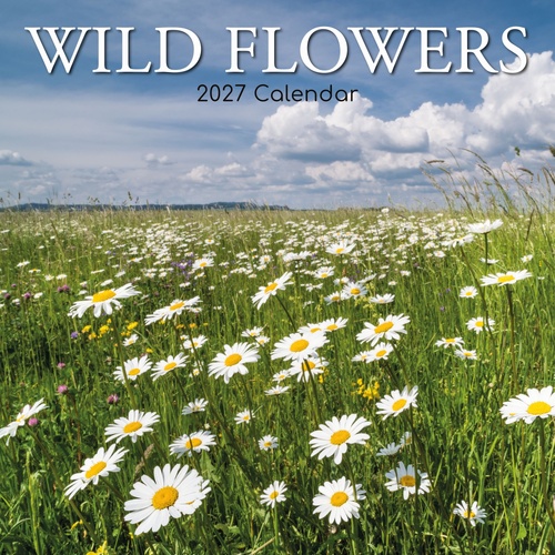 Wild Flowers - 2027 Gifted Stationery Wall Calendar Monthly Planner