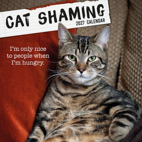 Cat Shaming - 2027 Gifted Stationery Wall Calendar Monthly Planner