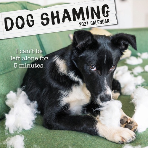 Dog Shaming - 2027 Gifted Stationery Wall Calendar Monthly Planner