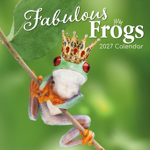Fabulous Frogs - 2027 Gifted Stationery Wall Calendar Monthly Planner