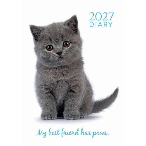 Adorable Cats - 2027 Gifted Stationery A5 Hardcover Week-to-View Diary