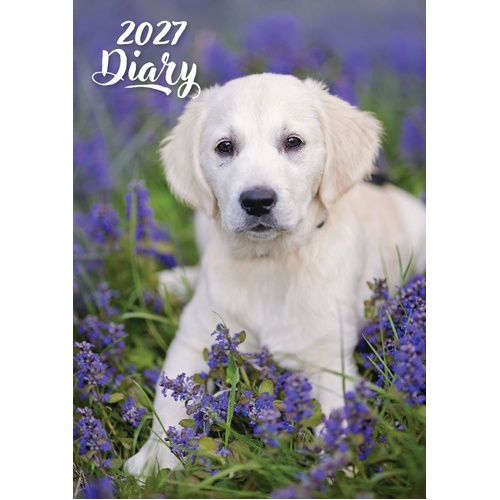 Cute Puppies 2027 Gifted Stationery A5 Hardcover Week-to-View Diary Planner
