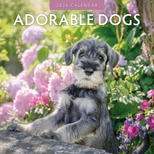 Adorable Dogs - 2026 Red Robin Square Wall Calendar Monthly Planner