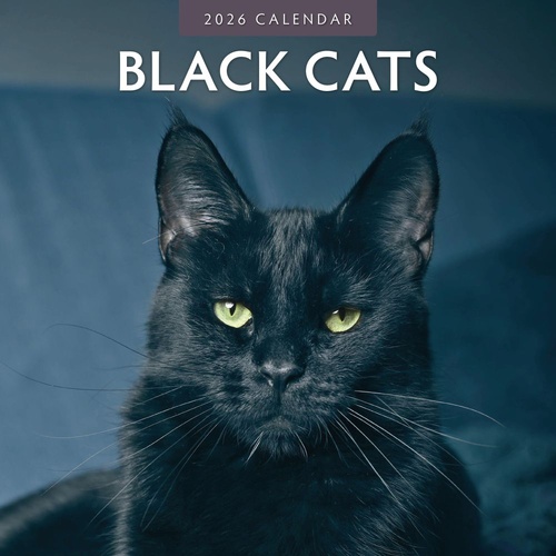 Black Cats - 2026 Red Robin Square Wall Calendar Monthly Planner