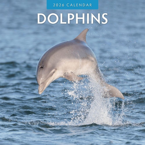 Dolphins - 2026 Red Robin Square Wall Calendar Monthly Planner
