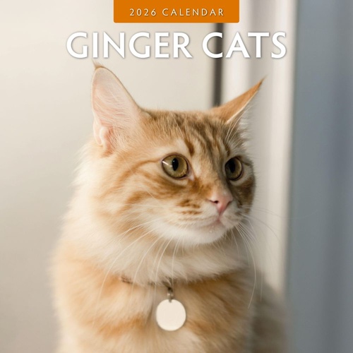 Ginger Cats - 2026 Red Robin Square Wall Calendar Monthly Planner