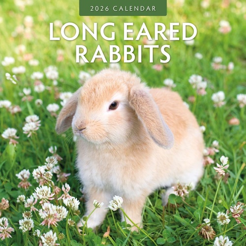 Long Eared Rabbits - 2026 Red Robin Square Wall Calendar Monthly Planner