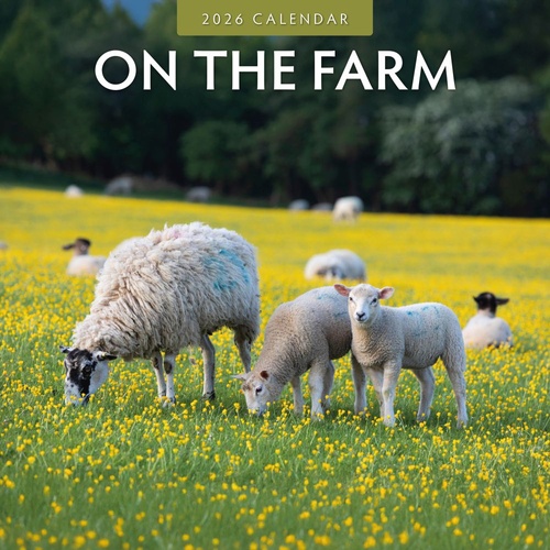 On The Farm - 2026 Red Robin Square Wall Calendar Monthly Planner