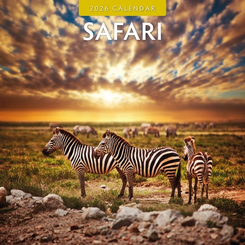 Safari - 2026 Red Robin Square Wall Calendar Monthly Planner