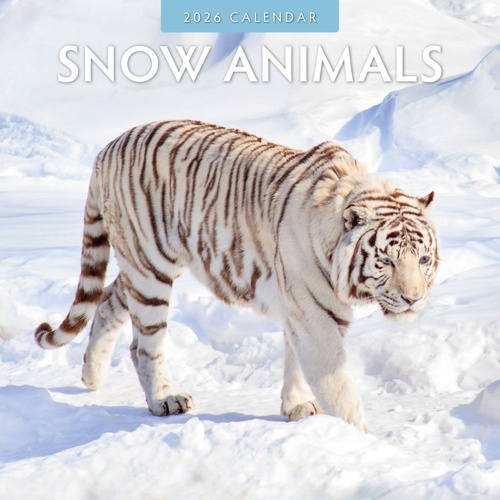 Snow Animals - 2026 Red Robin Square Wall Calendar Monthly Planner