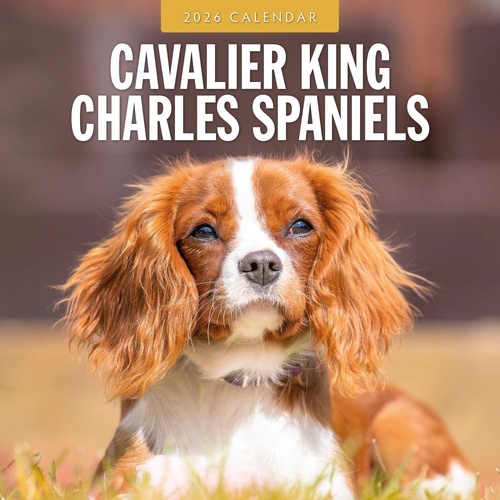 Cavalier King Charles Spaniels - 2026 Red Robin Square Wall Calendar Planner