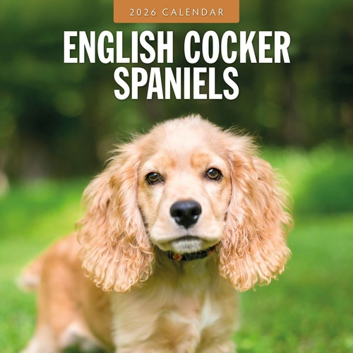English Cocker Spaniels - 2026 Red Robin Square Wall Calendar Monthly Planner