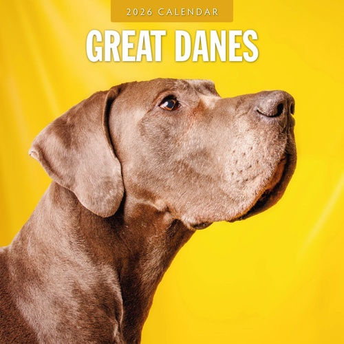 Great Danes - 2026 Red Robin Square Wall Calendar Monthly Planner