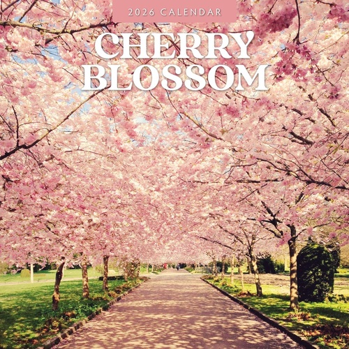Cherry Blossom - 2026 Red Robin Square Wall Calendar Monthly Planner
