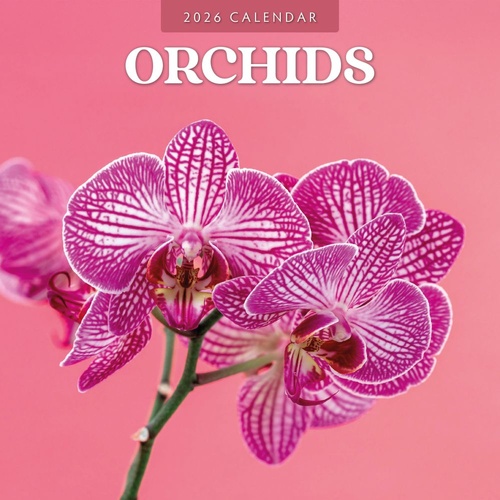 Orchids  - 2026 Red Robin Square Wall Calendar Monthly Planner