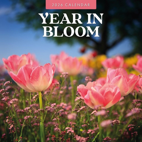 Year in Bloom - 2026 Red Robin Square Wall Calendar Monthly Planner