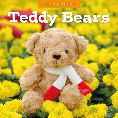 Teddy Bears - 2026 Red Robin Square Wall Calendar Monthly Planner