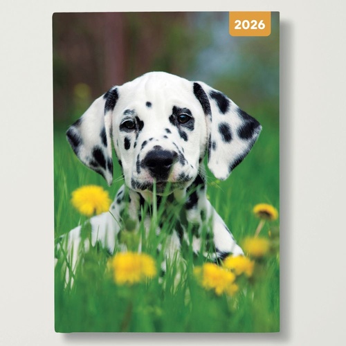 Adorable Dogs - 2026 Red Robin A5 Padded Diary Planner Soft Cover Dog Lovers