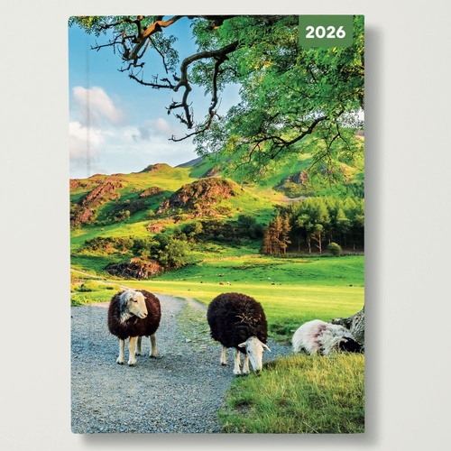 Country Scenes - 2026 Red Robin A5 Padded Diary Planner Countryside Landscape