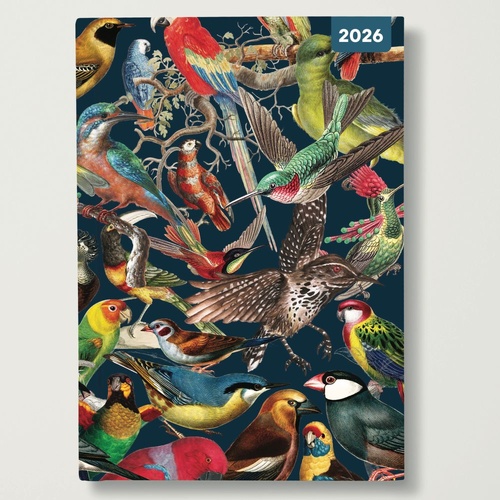 Vintage Birds - 2026 Red Robin A5 Padded Diary Planner Illustrated Bird Art