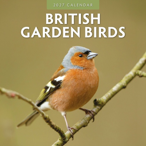 British Garden Birds - 2027 Red Robin Square Wall Calendar Monthly Planner