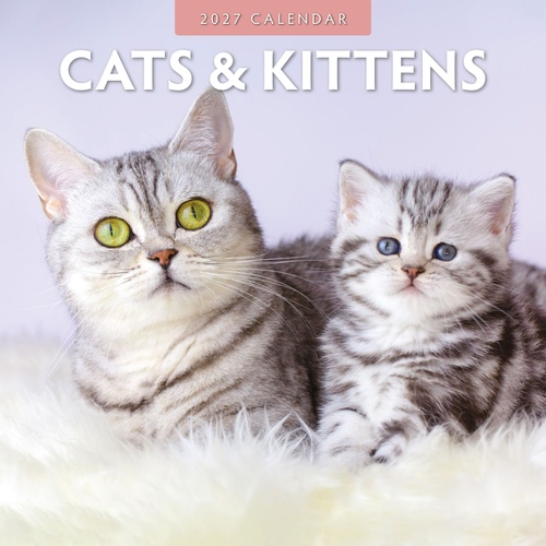 Cats & Kittens - 2027 Red Robin Square Wall Calendar Monthly Planner