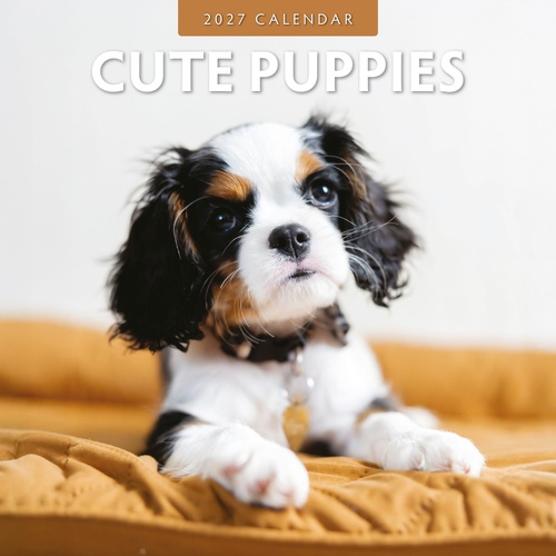 Cute Puppies - 2027 Red Robin Square Wall Calendar Monthly Planner
