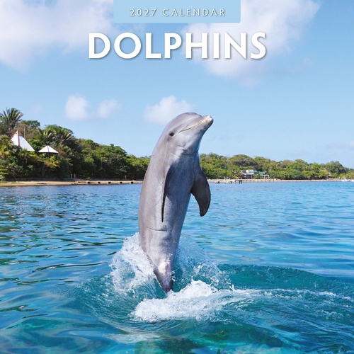 Dolphins - 2027 Red Robin Square Wall Calendar Monthly Planner