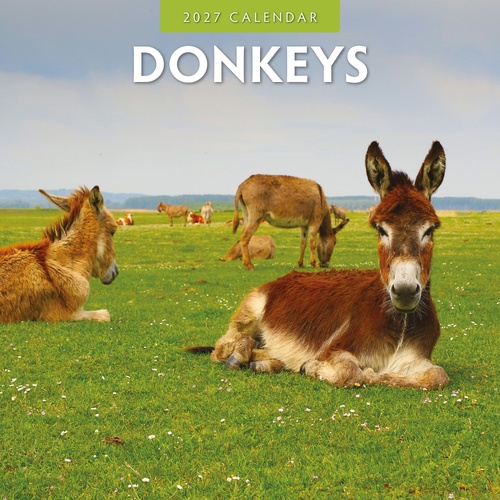 Donkeys - 2027 Red Robin Square Wall Calendar Monthly Planner