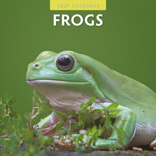 Frogs - 2027 Red Robin Square Wall Calendar Monthly Planner