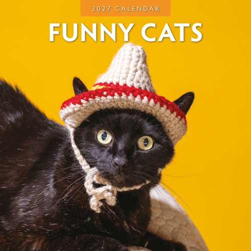 Funny Cats - 2027 Red Robin Square Wall Calendar Monthly Planner