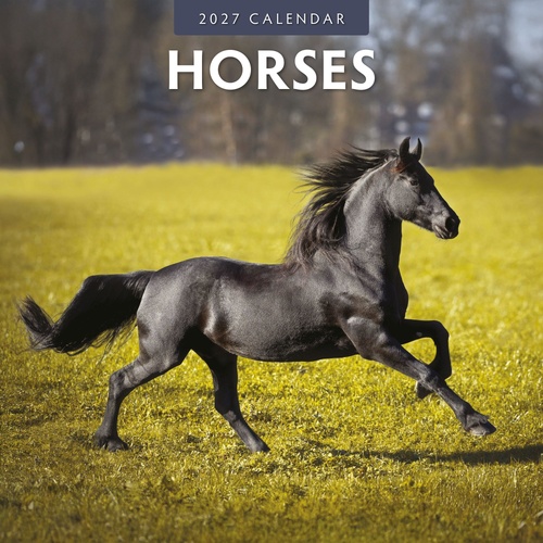 Horses - 2027 Red Robin Square Wall Calendar Monthly Planner