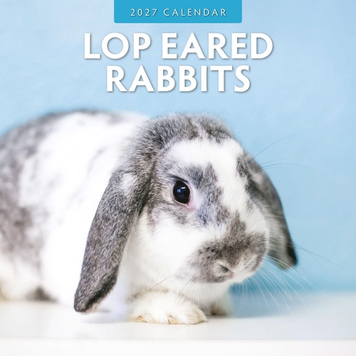 Long Eared Rabbits - 2027 Red Robin Square Wall Calendar Monthly Planner