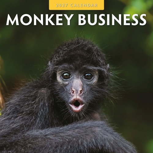 Monkey Business - 2027 Red Robin Square Wall Calendar Monthly Planner