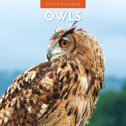 Owls  - 2027 Red Robin Square Wall Calendar Monthly Planner