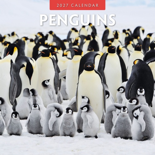 Penguins - 2027 Red Robin Square Wall Calendar Monthly Planner