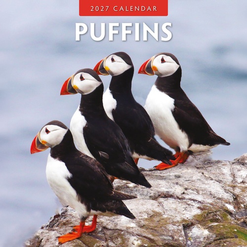Puffins - 2027 Red Robin Square Wall Calendar Monthly Planner