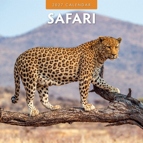 Safari - 2027 Red Robin Square Wall Calendar Monthly Planner