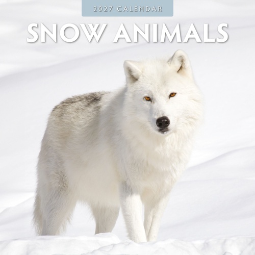 Snow Animals - 2027 Red Robin Square Wall Calendar Monthly Planner