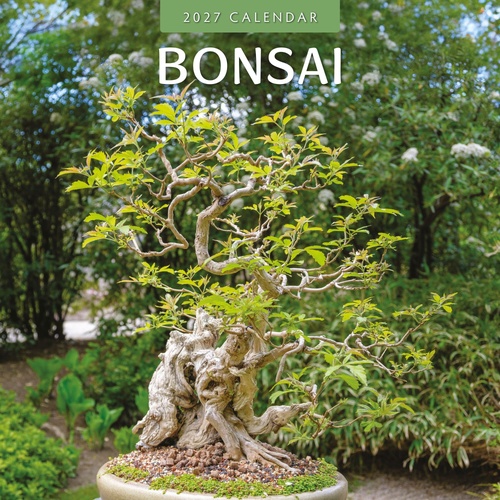 Bonsai - 2027 Red Robin Square Wall Calendar Monthly Planner