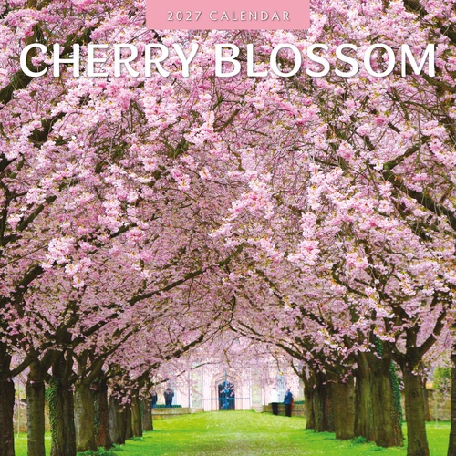 Cherry Blossom - 2027 Red Robin Square Wall Calendar Monthly Planner