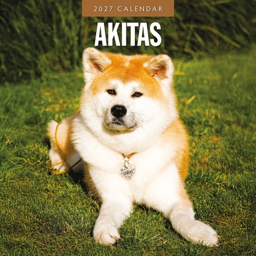 Akitas - 2027 Red Robin Square Wall Calendar Monthly Planner