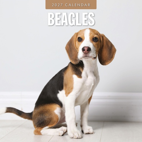 Beagles - 2027 Red Robin Square Wall Calendar Monthly Planner