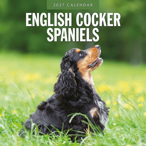 English Cocker Spaniels - 2027 Red Robin Square Wall Calendar Planner