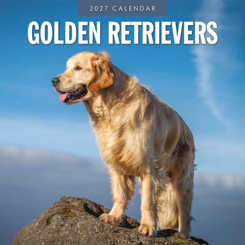 Golden Retrievers - 2027 Red Robin Square Wall Calendar Monthly Planner