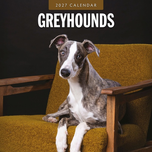 Greyhounds - 2027 Red Robin Square Wall Calendar Monthly Planner