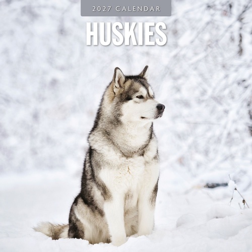 Huskies - 2027 Red Robin Square Wall Calendar Monthly Planner