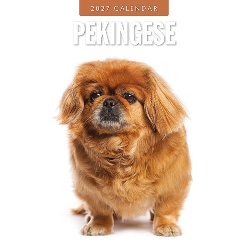 Pekingese - 2027 Red Robin Square Wall Calendar Monthly Planner