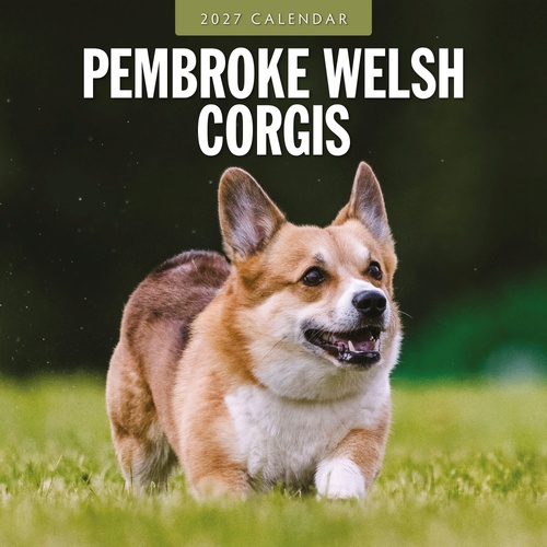 Pembroke Welsh Corgis - 2027 Red Robin Square Wall Calendar Monthly Planner