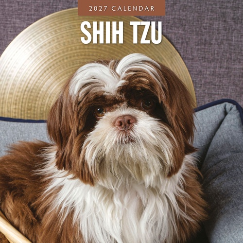 Shih Tzu - 2027 Red Robin Square Wall Calendar Monthly Planner